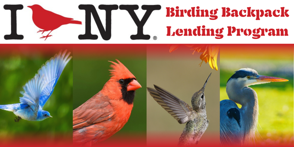 collage featuring 4 native birds, the I BIRD NY logo and "Birding Backpack Lending Program"